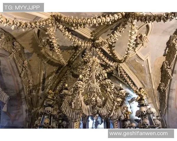 捷克与德国足球明星的辉煌历程与传奇故事探秘