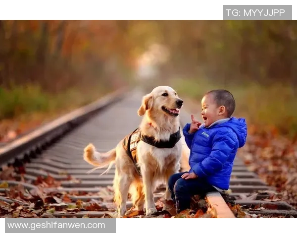 体育明星与他们的宠物们：那些可爱的小伙伴们的故事与趣事